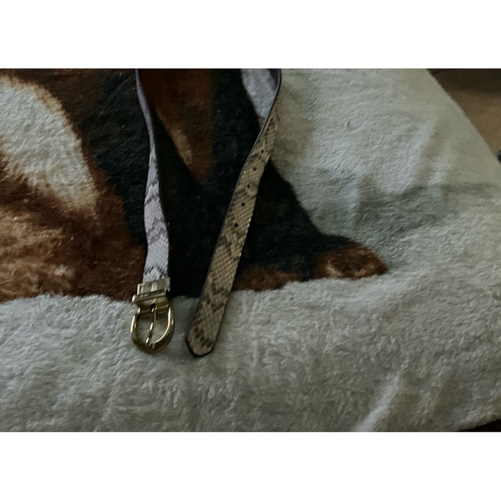 Loft belt